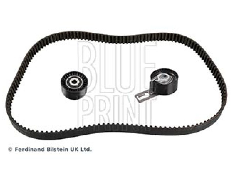 CINGHIA DISTRIBUZIONE