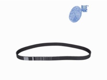 CINGHIA DISTRIBUZIONE