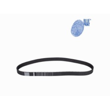 CINGHIA DISTRIBUZIONE