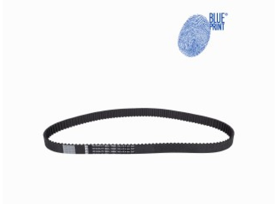 CINGHIA DISTRIBUZIONE