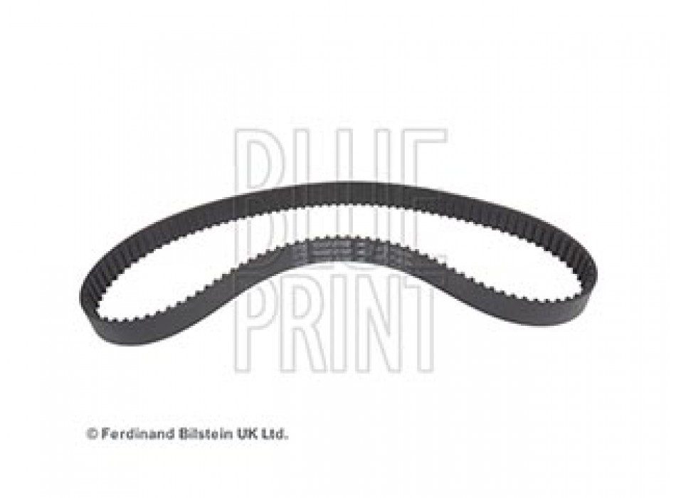 CINGHIA DISTRIBUZIONE