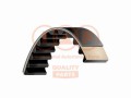 CINGHIA DISTRIBUZIONE Z171x24