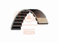 CINGHIA DISTRIBUZIONE Z220X28