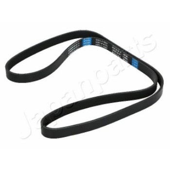 CINGHIA POLY-V