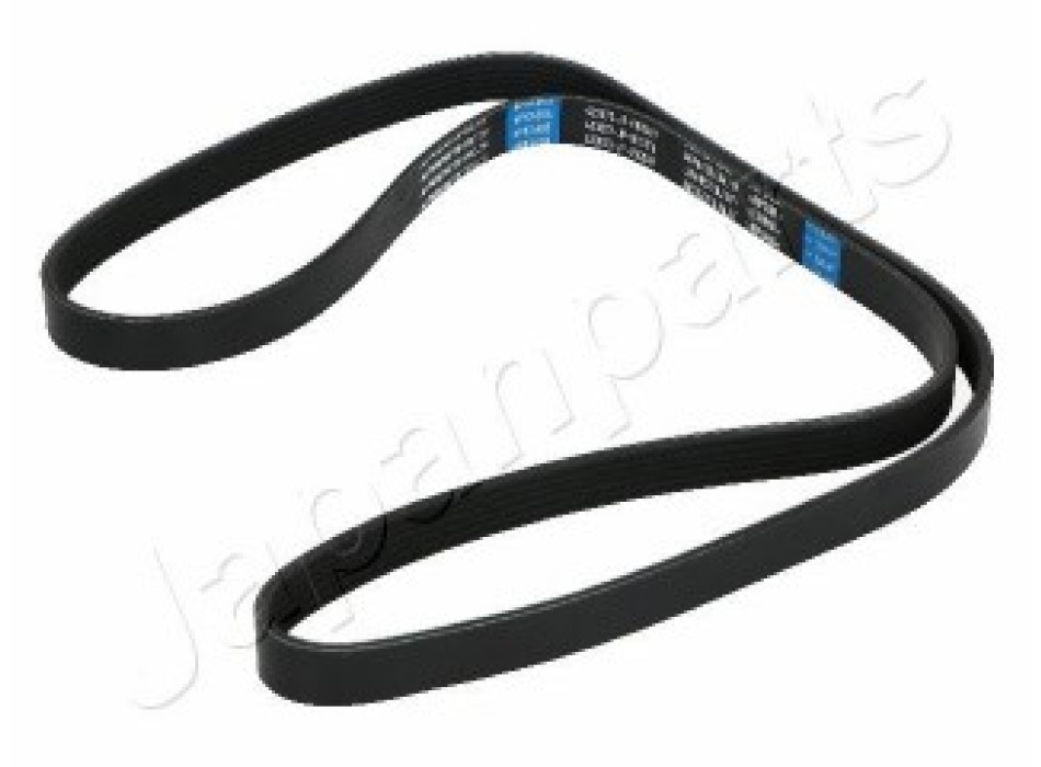 CINGHIA POLY-V