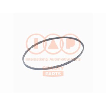 CINGHIA SERVIZI 3PK682