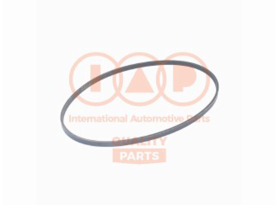 CINGHIA SERVIZI 3PK682