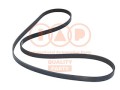 CINGHIA SERVIZI 5PK1650