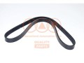 CINGHIA SERVIZI 5PK900