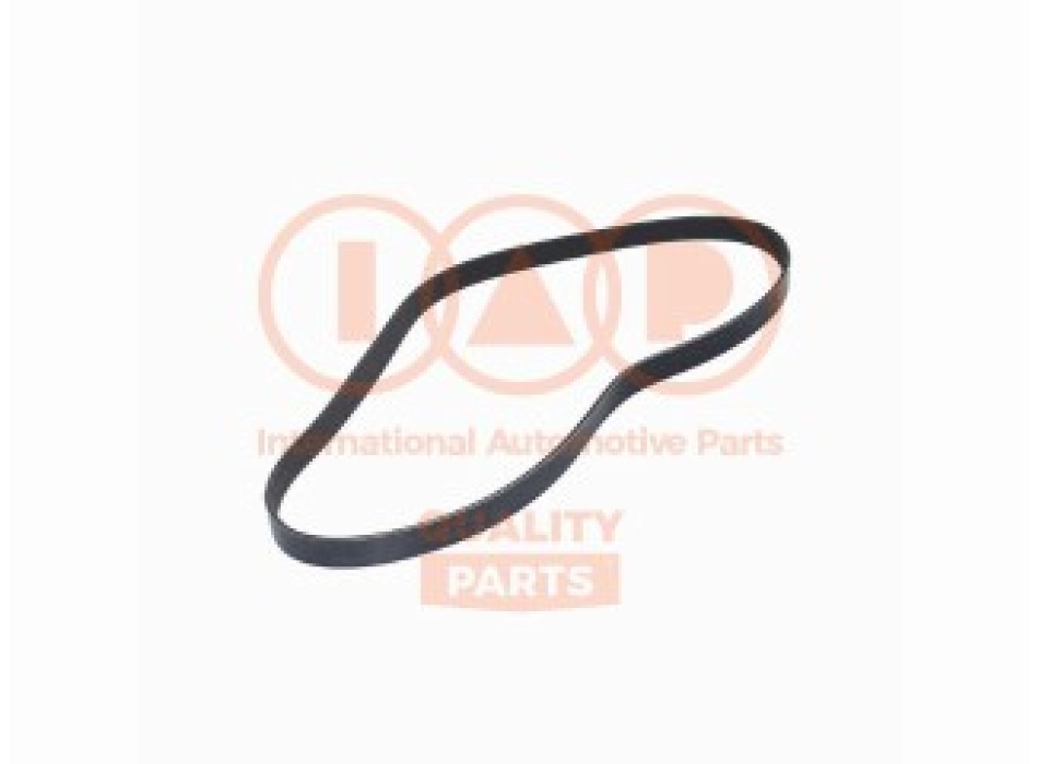 CINGHIA SERVIZI 6PK1130