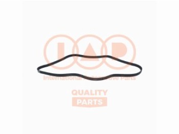 CINGHIA SERVIZI 6PK1745