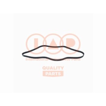 CINGHIA SERVIZI 6PK1745