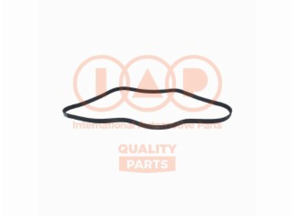 CINGHIA SERVIZI 6PK1745