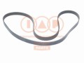 CINGHIA SERVIZI 6PK1775