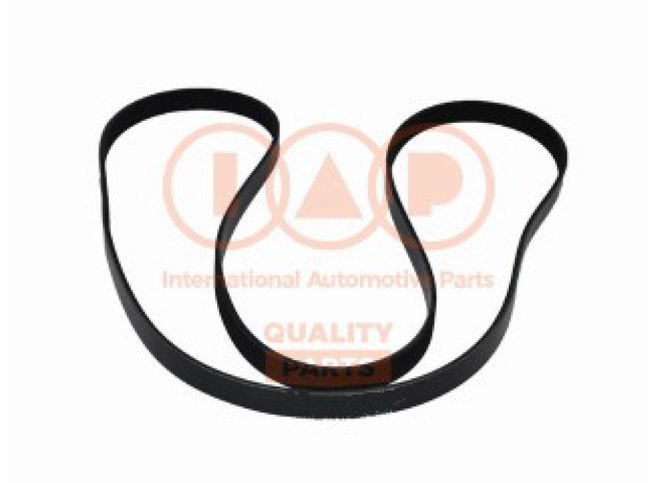 CINGHIA SERVIZI 6PK2000