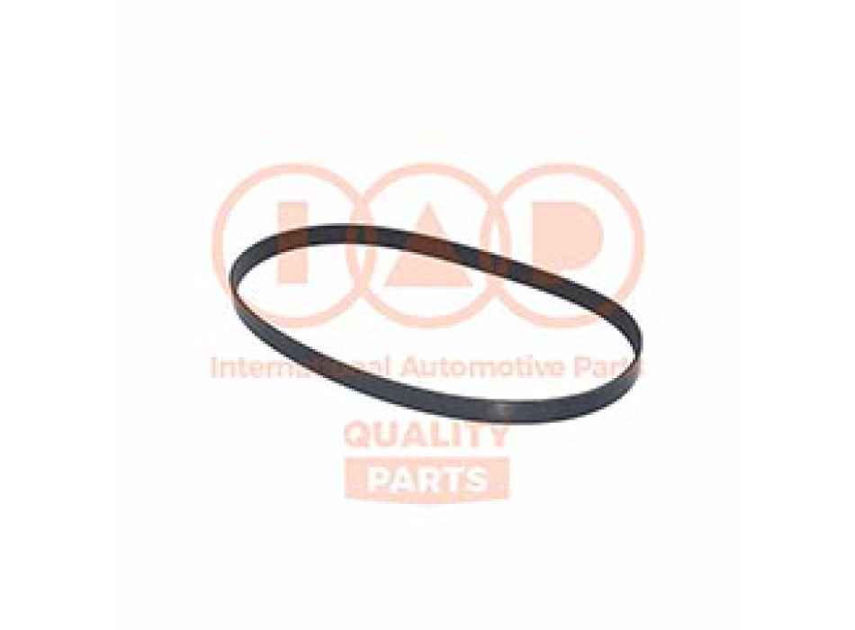 CINGHIA SERVIZI 6PK975