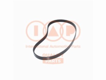 CINGHIA SERVIZI 7PK1381