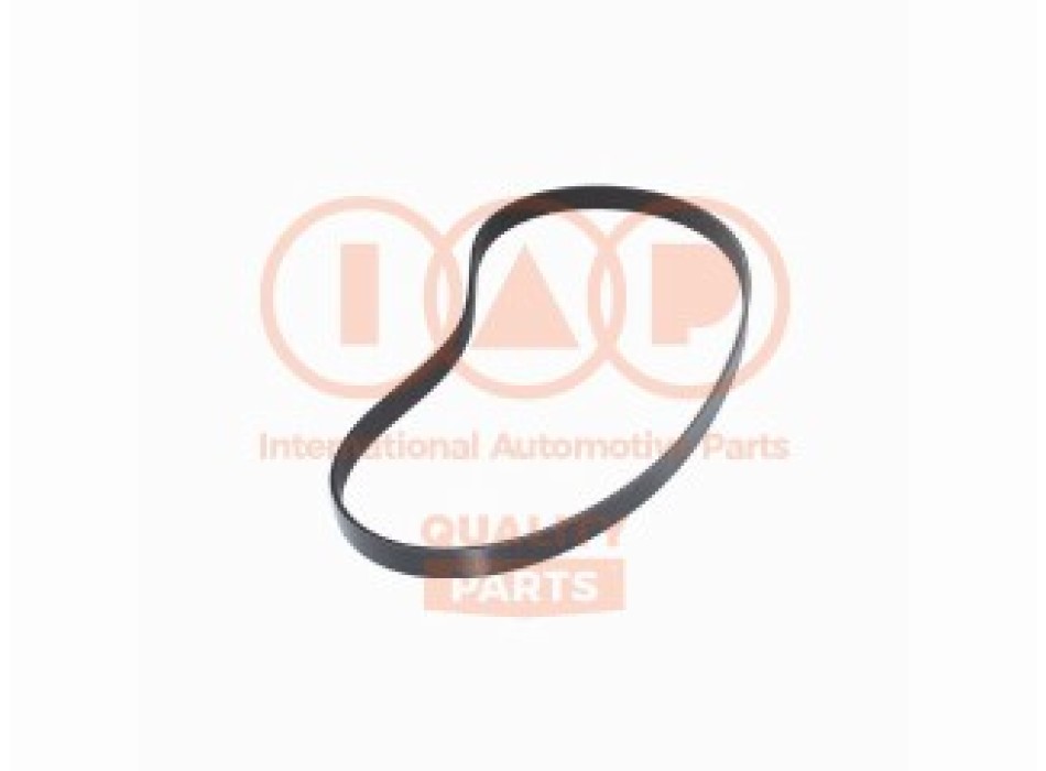 CINGHIA SERVIZI 7PK1381