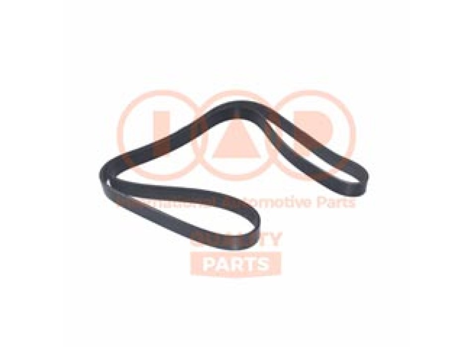 CINGHIA SERVIZI 7PK1687