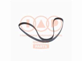 CINGHIA SERVIZI 7PK1845