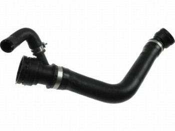 Curved Hose