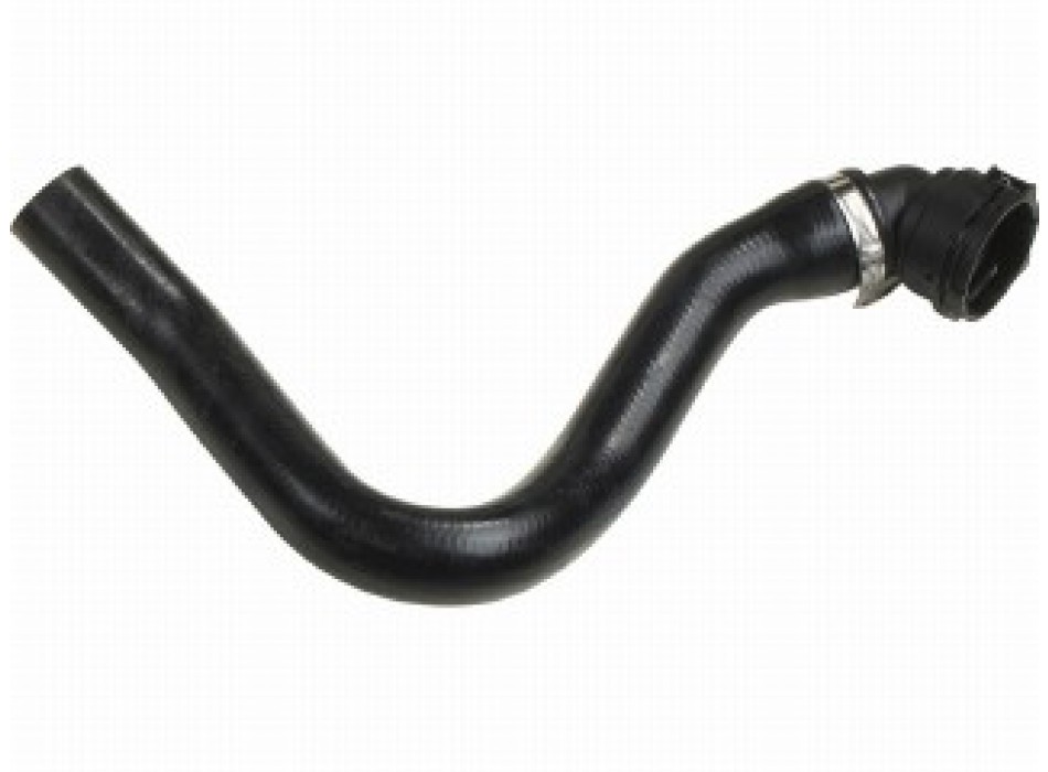 Curved Hose