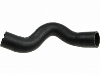 Curved Hose
