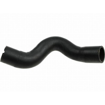 Curved Hose