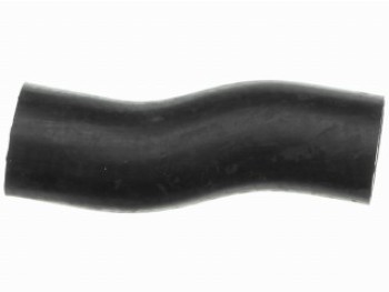 Curved Hose