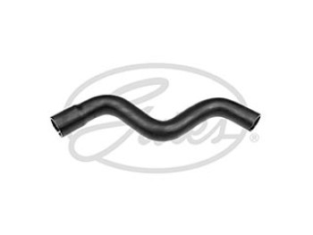 Curved Hose