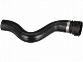 Curved Hose
