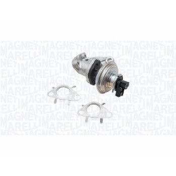 EGR MINI