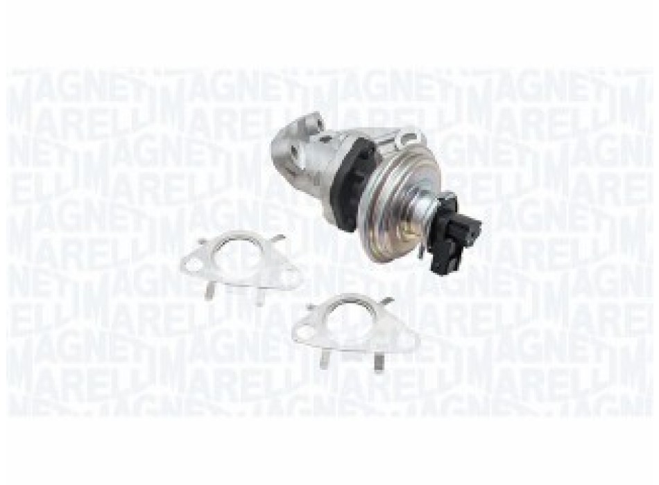 EGR MINI