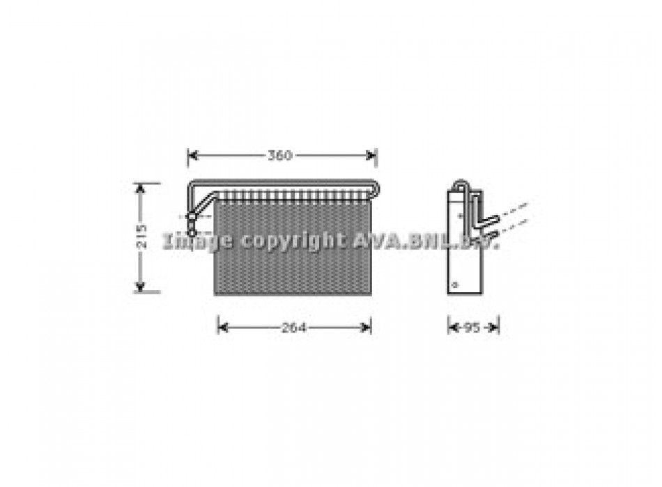 Evap. BMW 3 Serie E46 01/98-