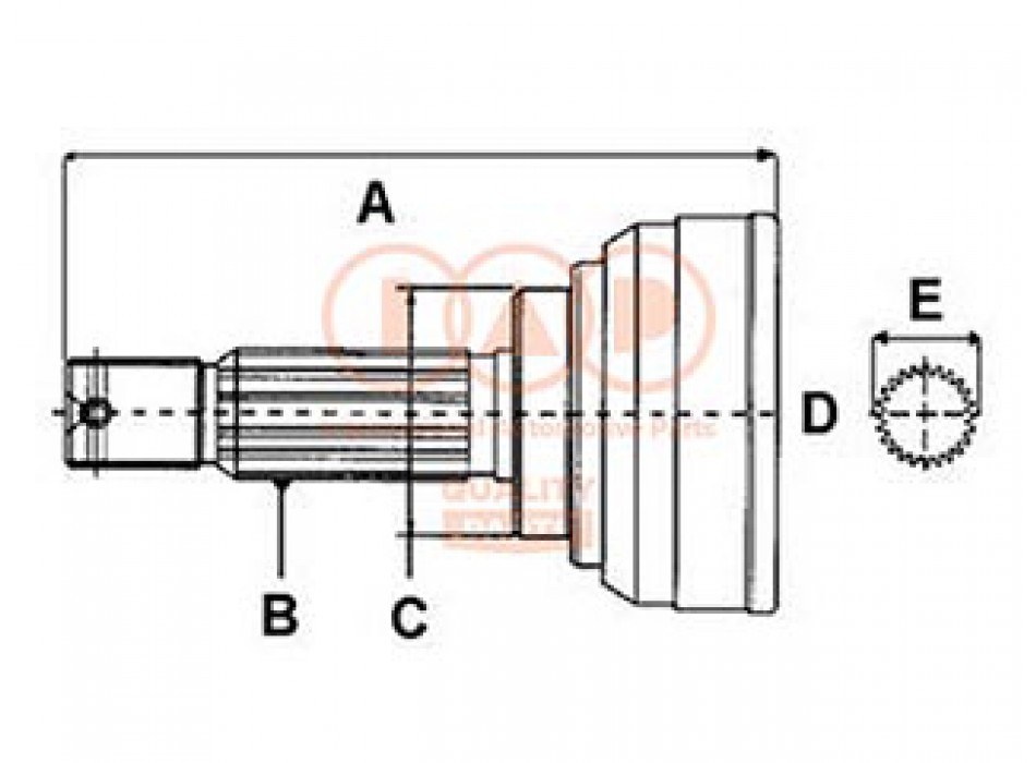 GIUNTO OMOCINETICO ANT.DX/SX ESTERNO