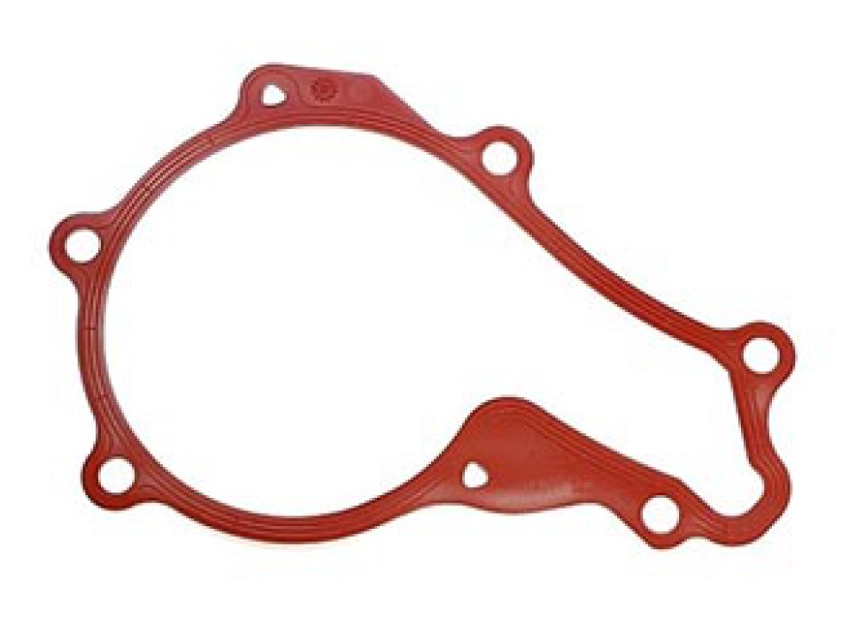 Guarnizione, Pompa acqua