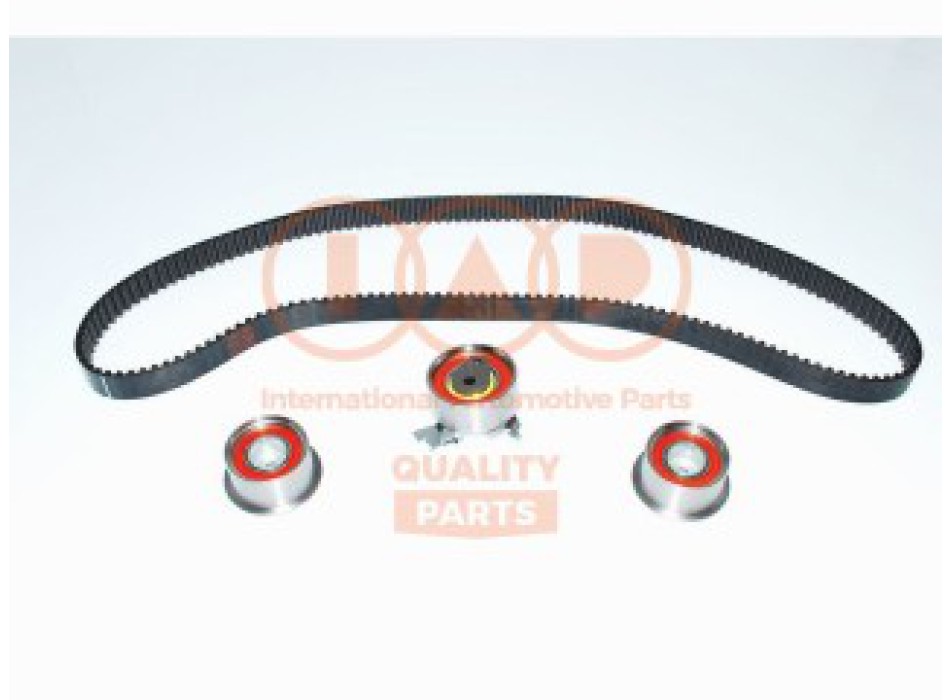 KIT CINGHIA TENDICINGHIA DISTRIBUZIONE