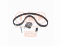 KIT CINGHIA TENDICINGHIA DISTRIBUZIONE