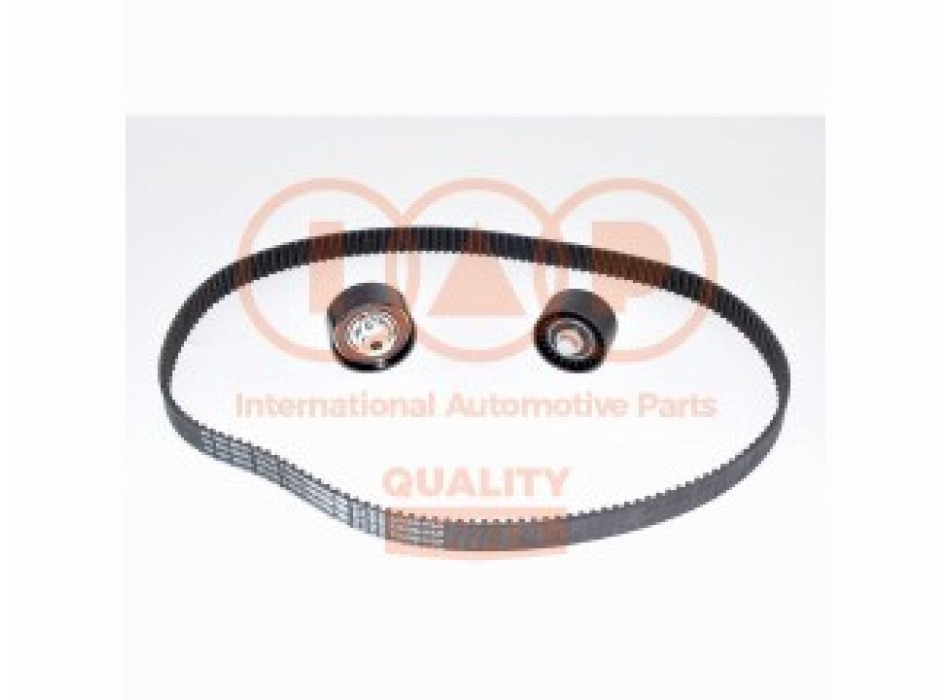 KIT CINGHIA TENDICINGHIA DISTRIBUZIONE