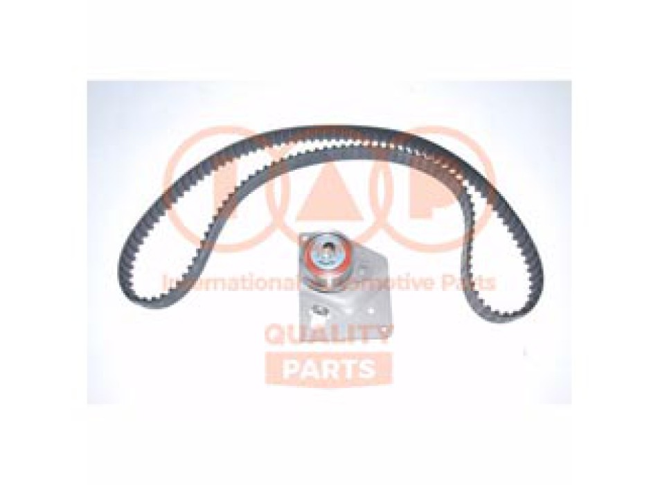 KIT CINGHIA TENDICINGHIA DISTRIBUZIONE