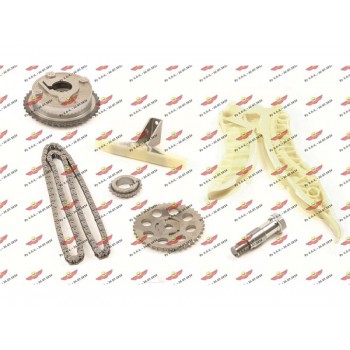 Kit Distribuzione Catena