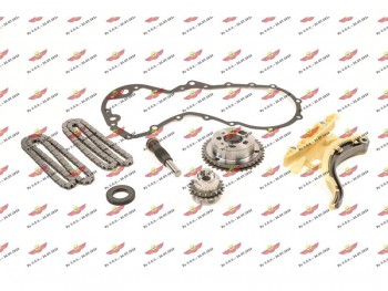 Kit Distribuzione Catena