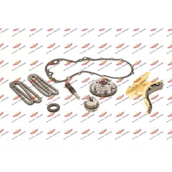 Kit Distribuzione Catena