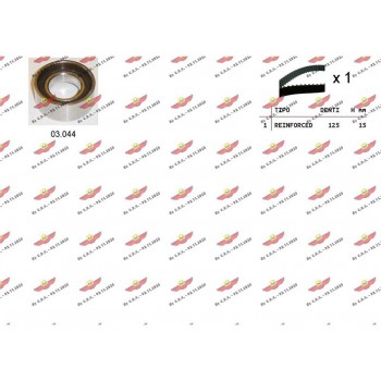 Kit Distribuzione Cinghia