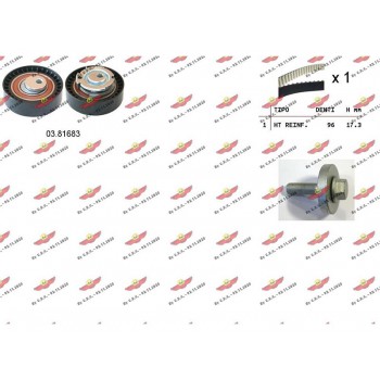 Kit Distribuzione Cinghia