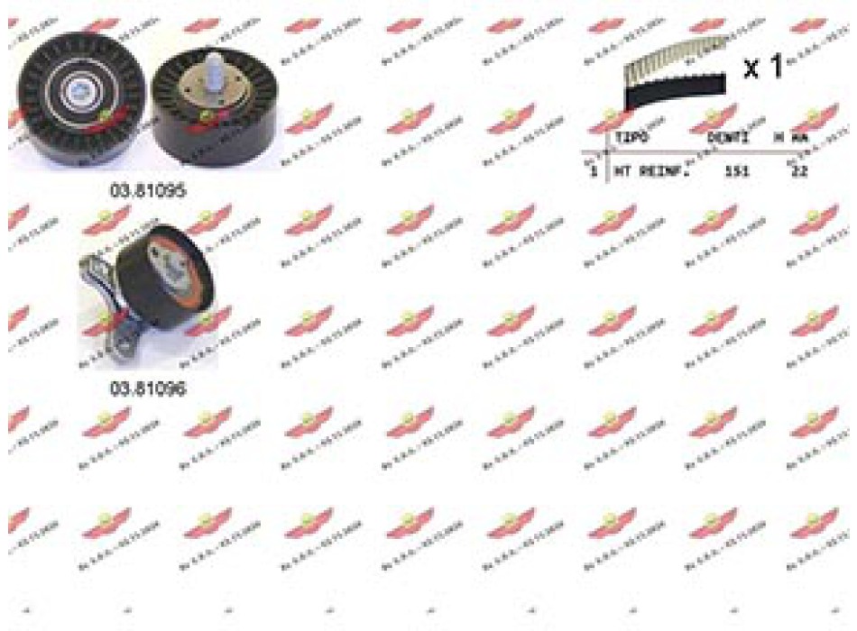 Kit Distribuzione Cinghia