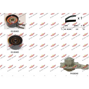 Kit Distribuzione Cinghia con PA