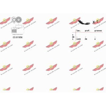 KIT ORGANI AUSILIARI