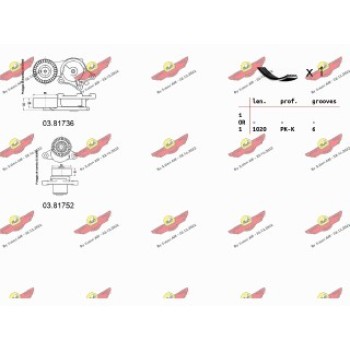 KIT ORGANI AUSILIARI