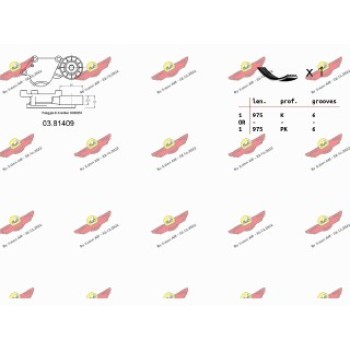 KIT ORGANI AUSILIARI